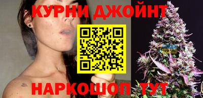 прущие крисы Камышлов
