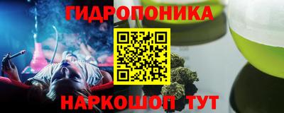 прущие крисы Камышлов