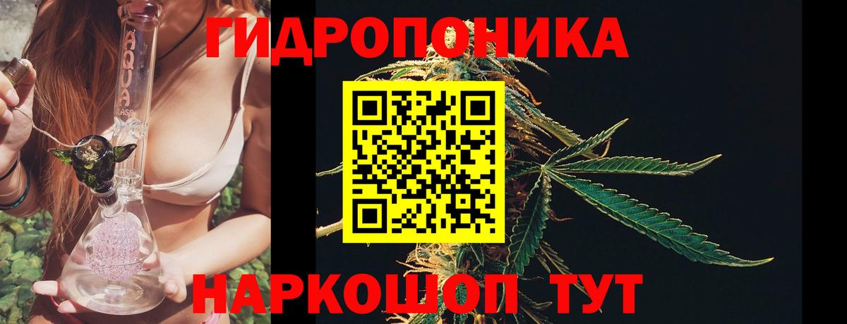 Шишки марихуана SATIVA & INDICA  Вход с VPN  Ханты-Мансийск  Бошки Шишки VHQ 